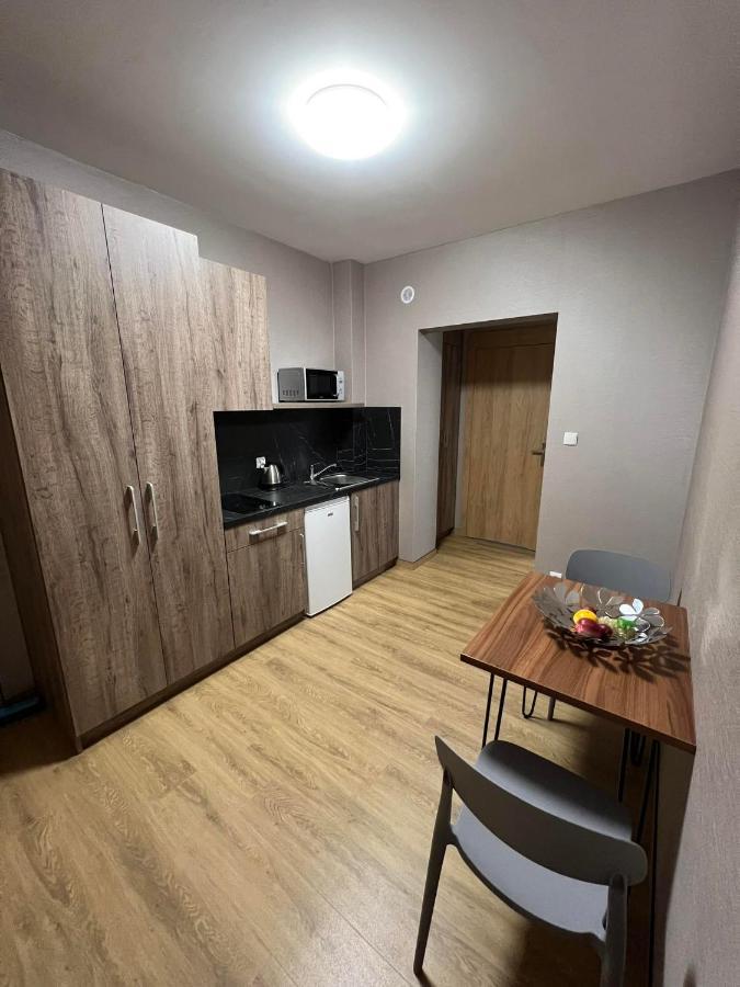 Apartamenty Polna 60 Zory Ngoại thất bức ảnh